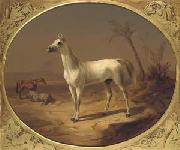 Theodor Horschelt A Grey Arabian Horse oil painting reproduction